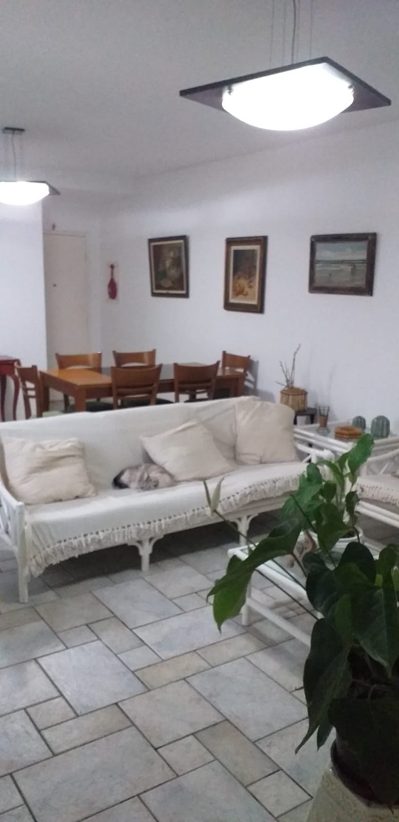 Pinheiros – Cód. 109943