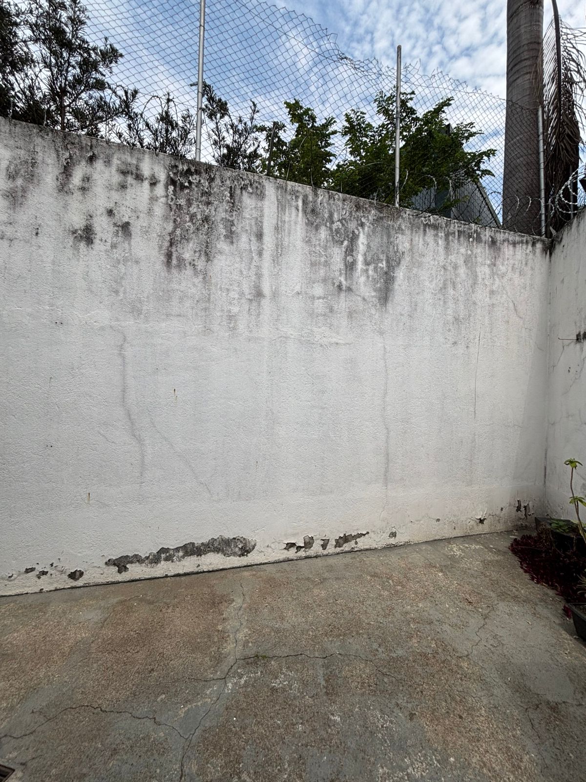 vila indiana
