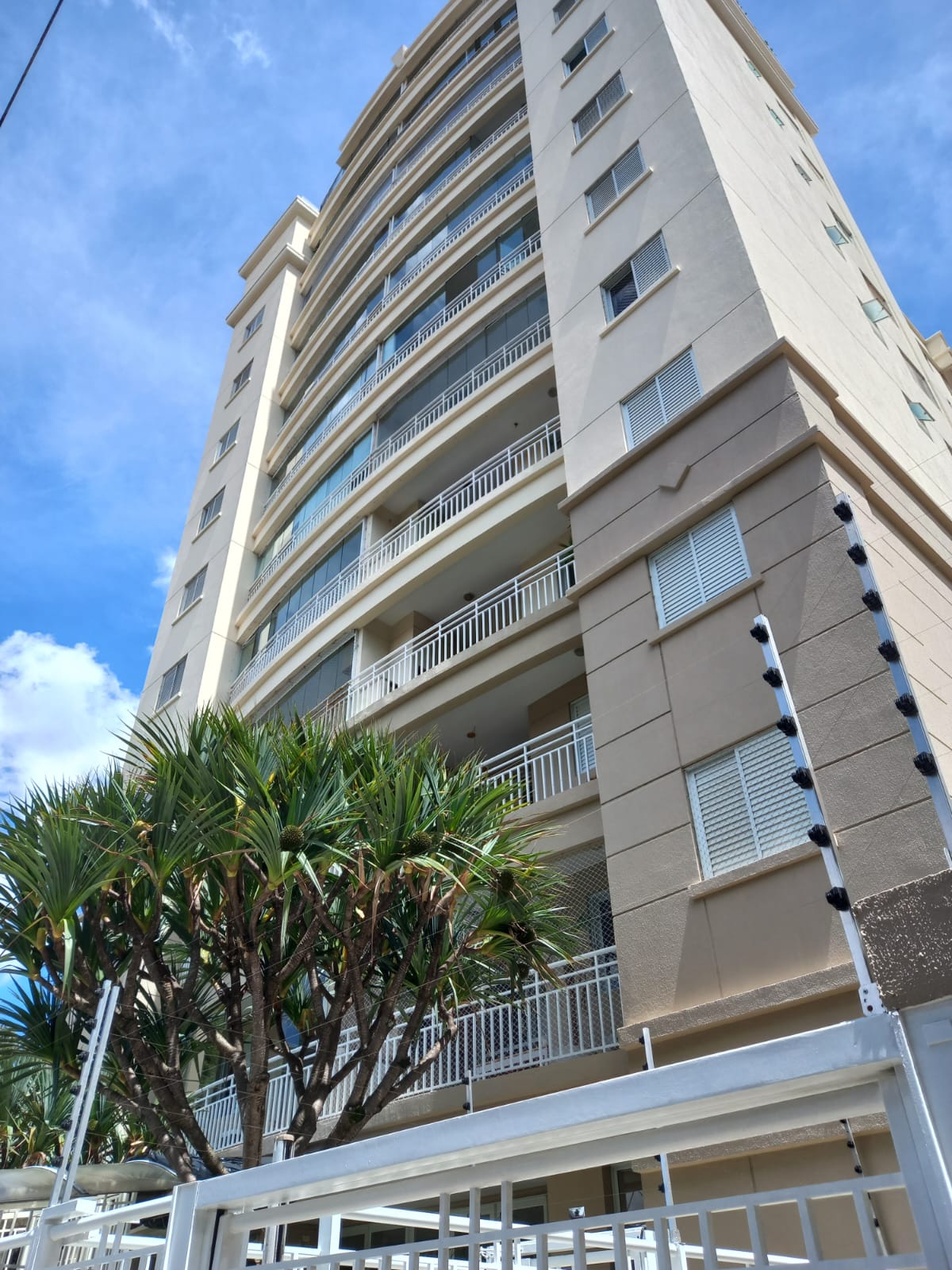 Moema – Cod. 112988