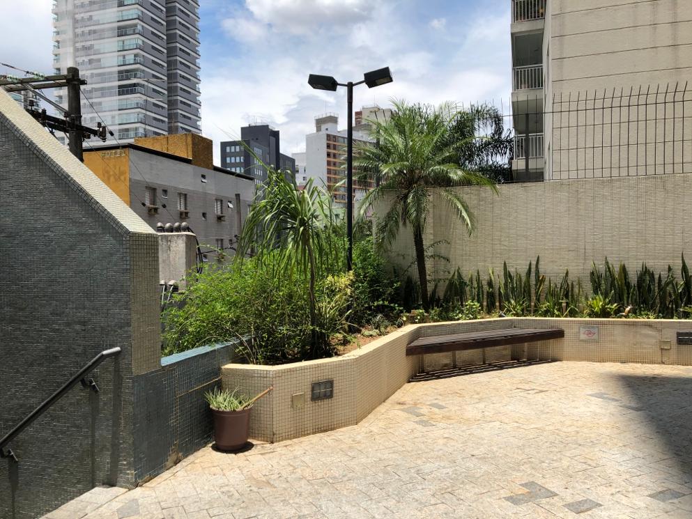 Pinheiros – 123456
