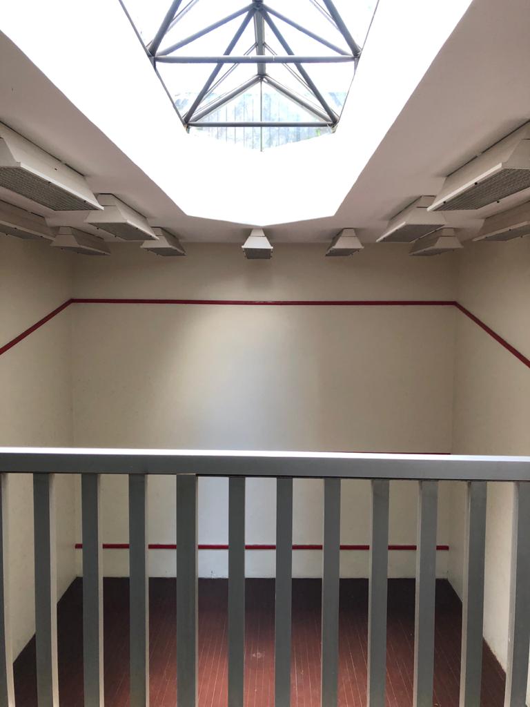 Pinheiros – 123456