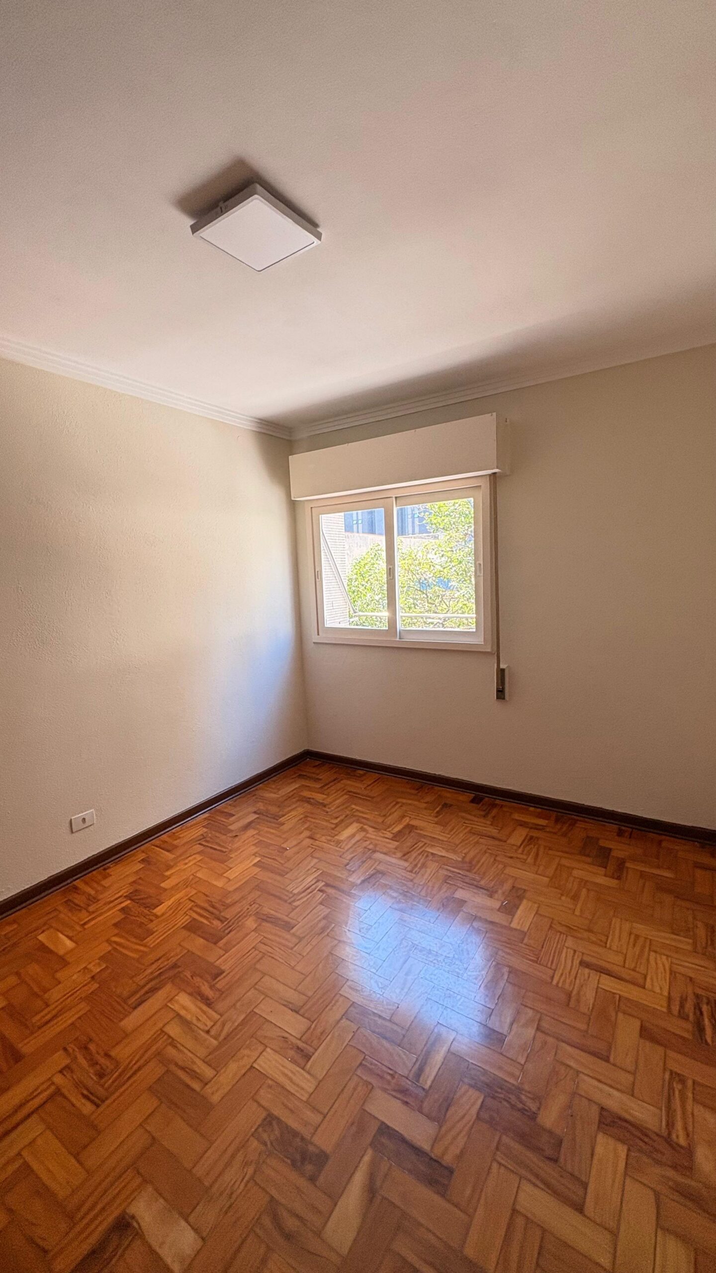 Pinheiros – 113009