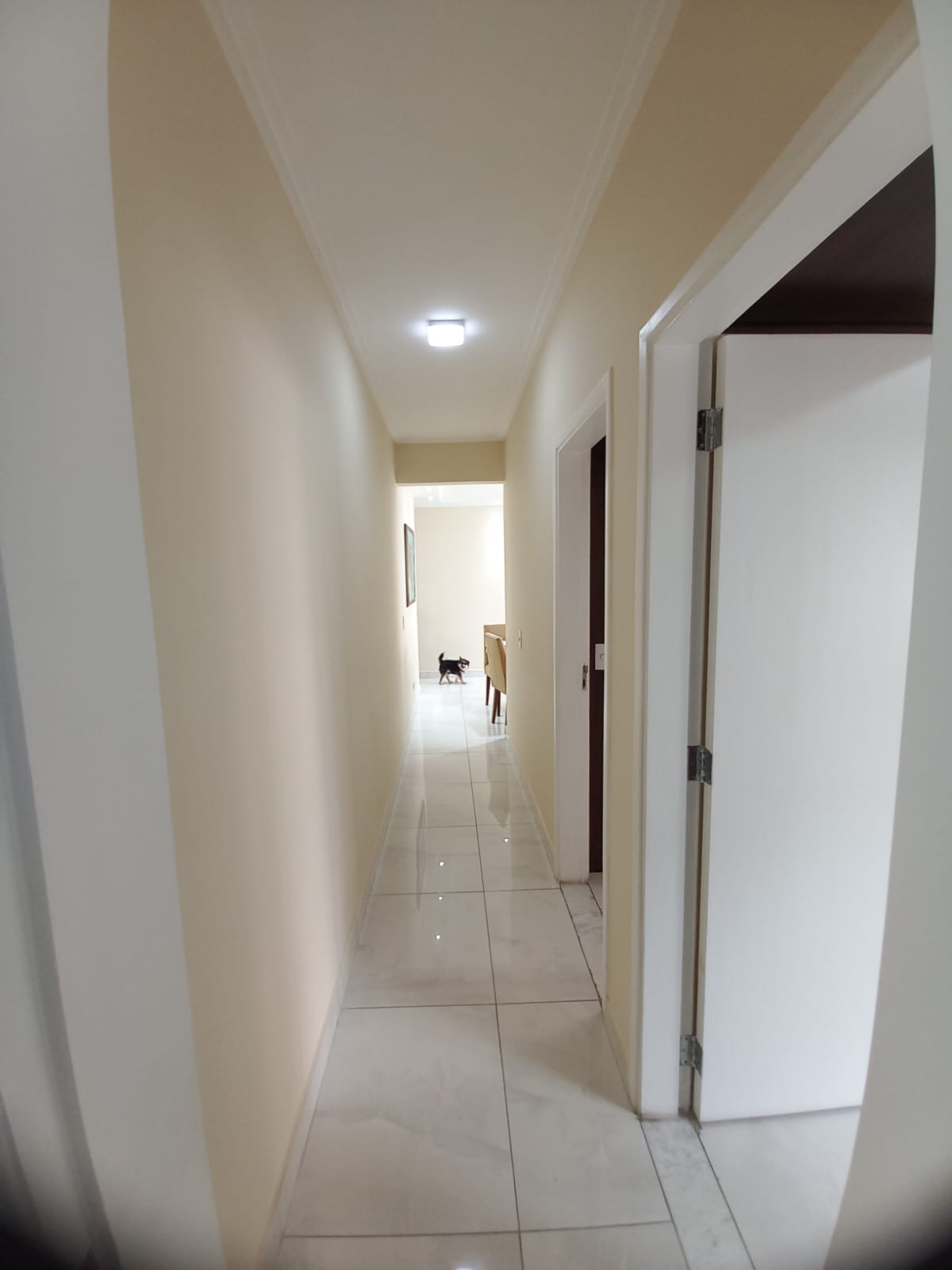 Pinheiros – Cod. 113023