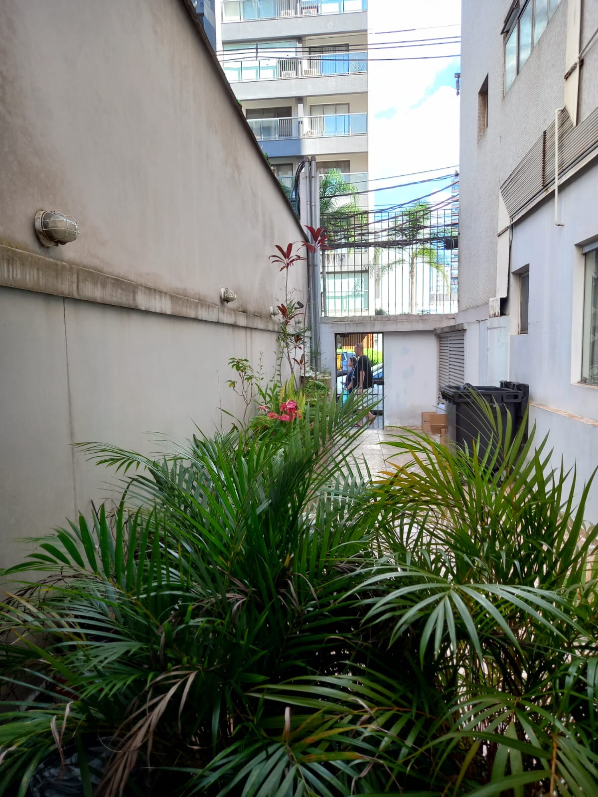 Paraíso – Cod. 113017