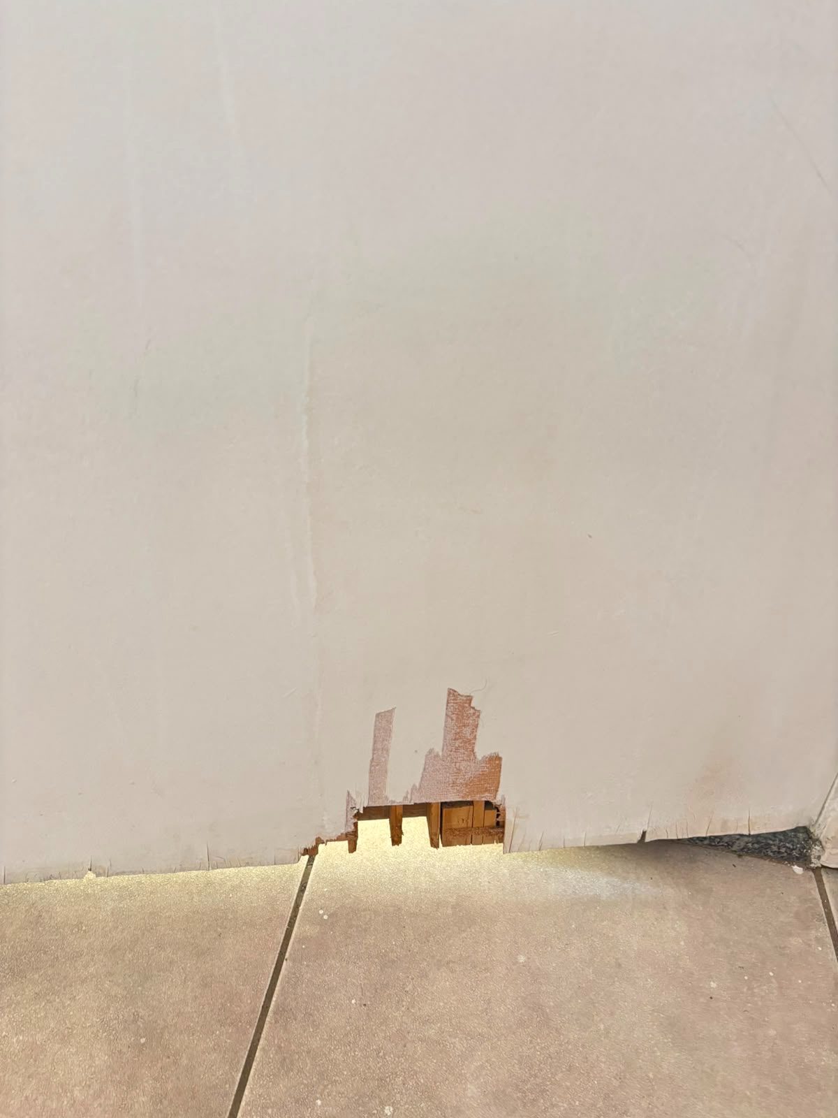 Cod. 27122 – Rua Clélia – 1168 – Apto. 36