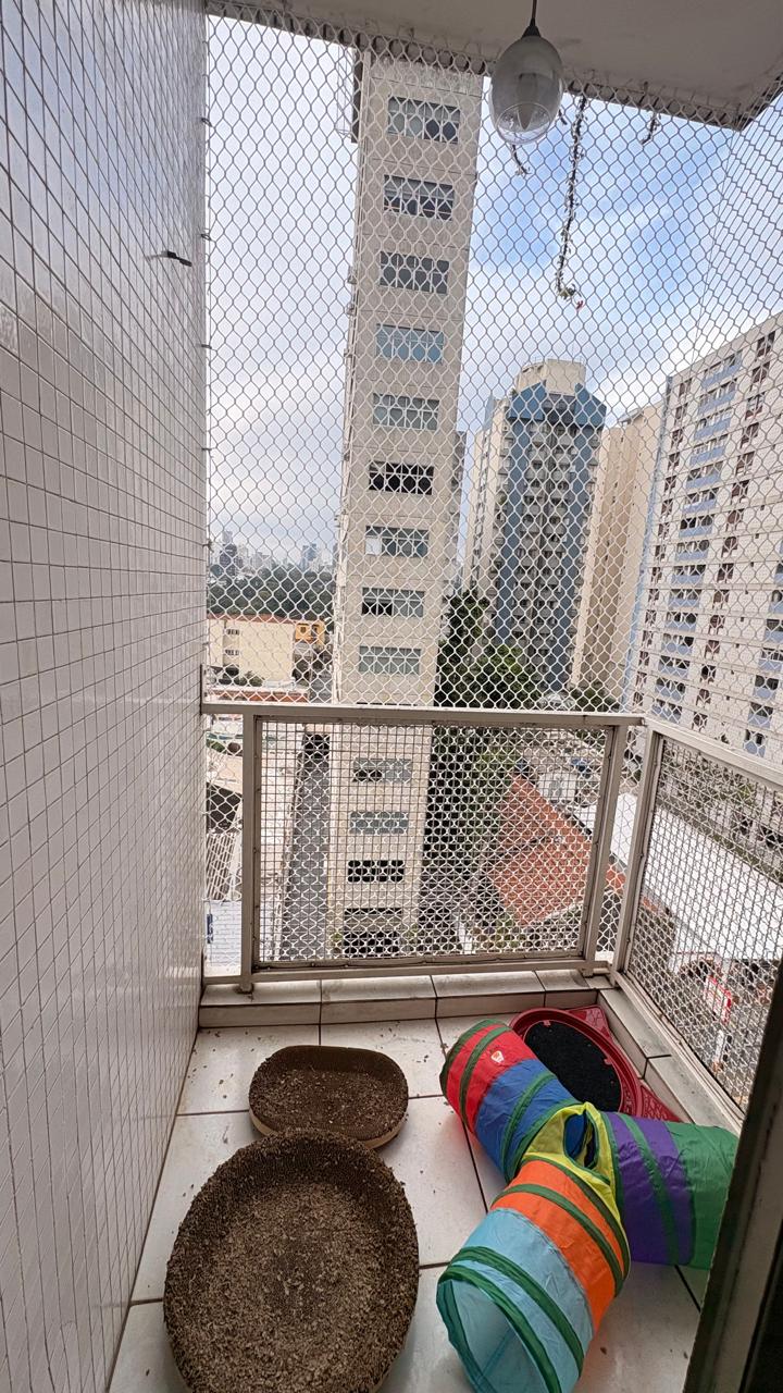 Pinheiros – Cod.