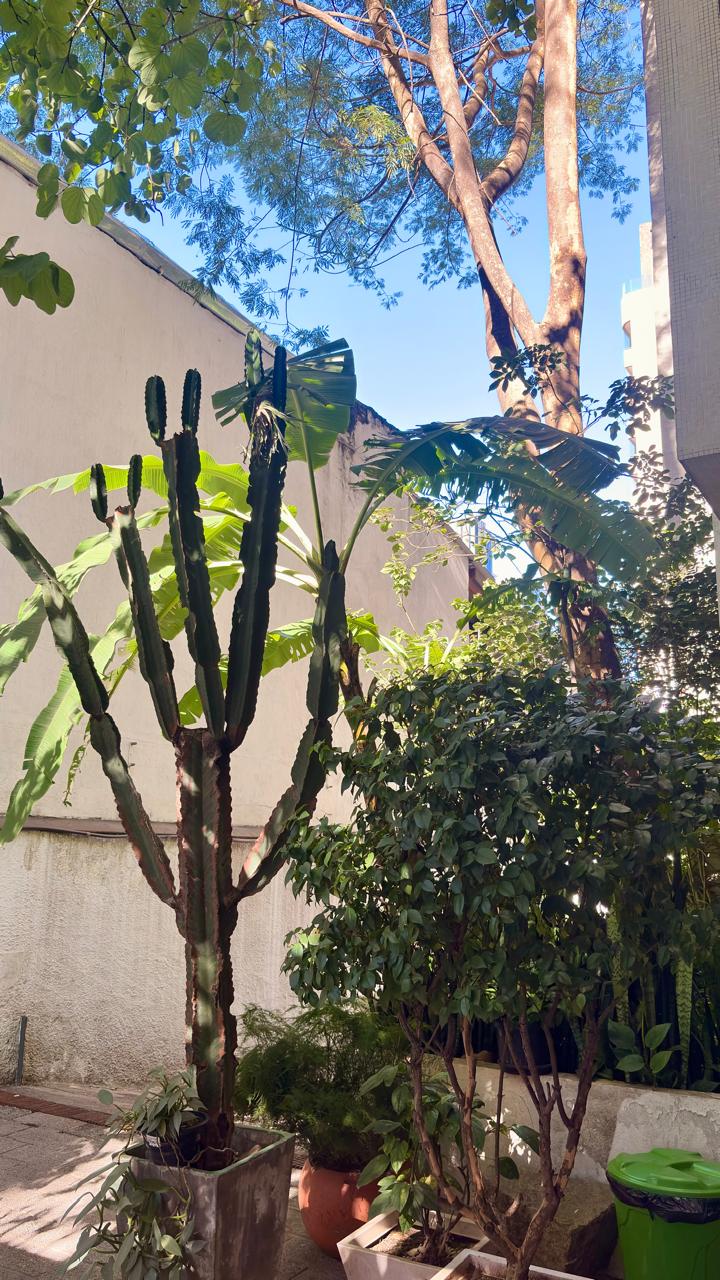 Pinheiros – Cod. 113061