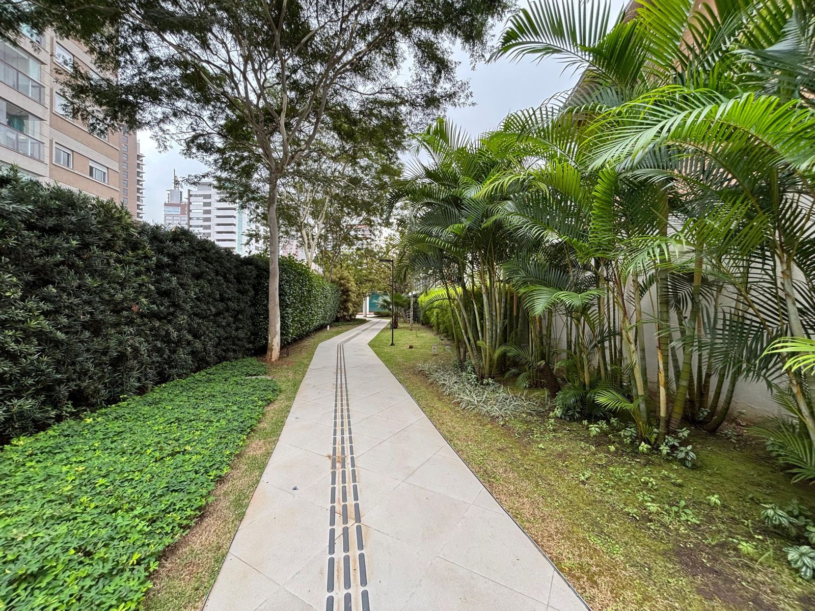 Pinheiros – Cod. 113072