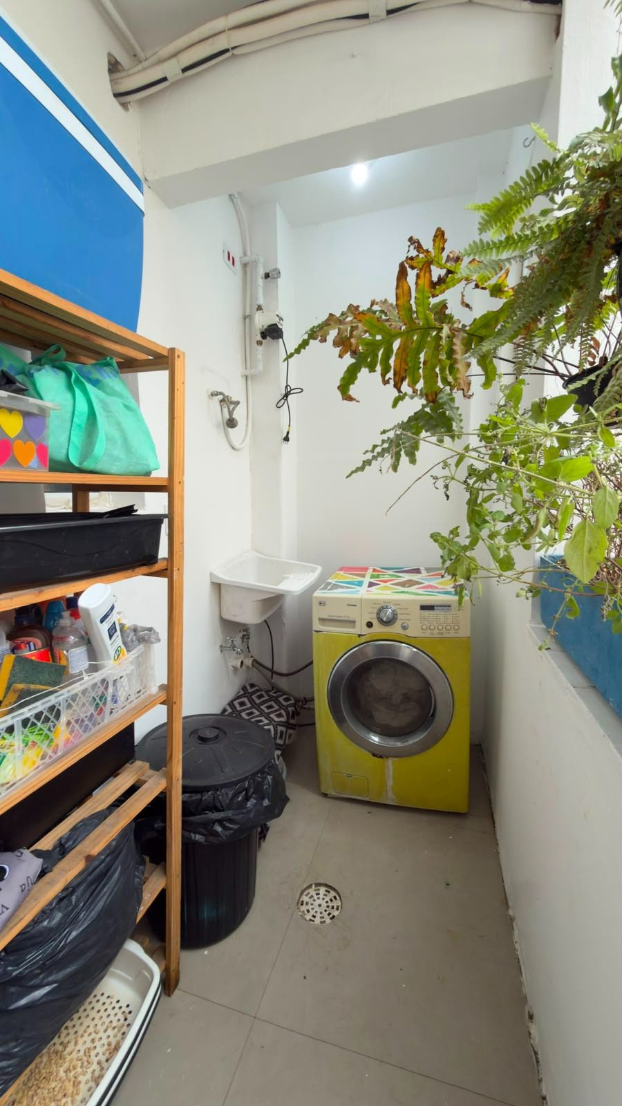 Pinheiros – Cod. 113083
